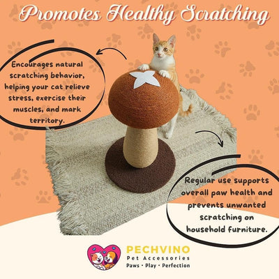 Rascador hongos gato sisal 100% con juguete pompón