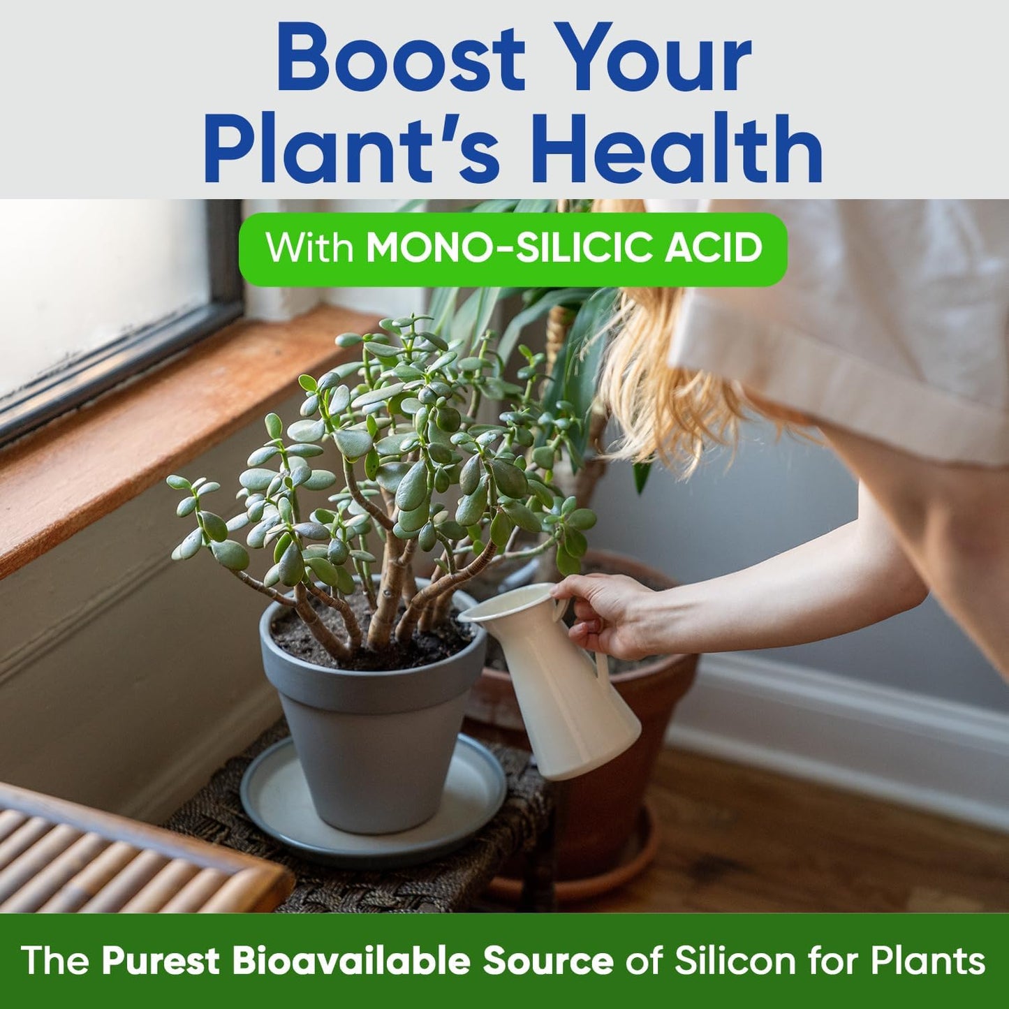Solución nutritiva ácido monosilícico para plantas 4oz