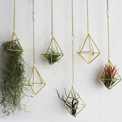 Soportes para plantas de aire 6 pzas colgante Glod con cadena