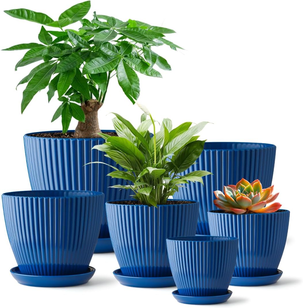 Macetas 3.5-7.5pulg con platillos azules para suculentas