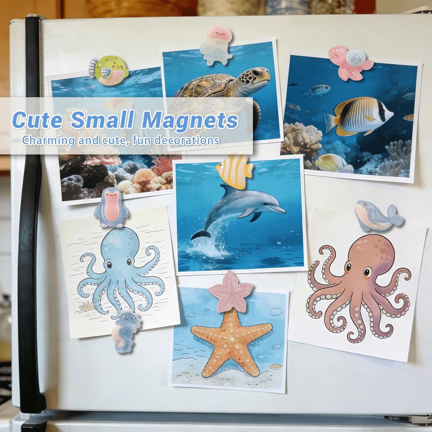 8 imanes decorativos 3D marino para nevera y oficina