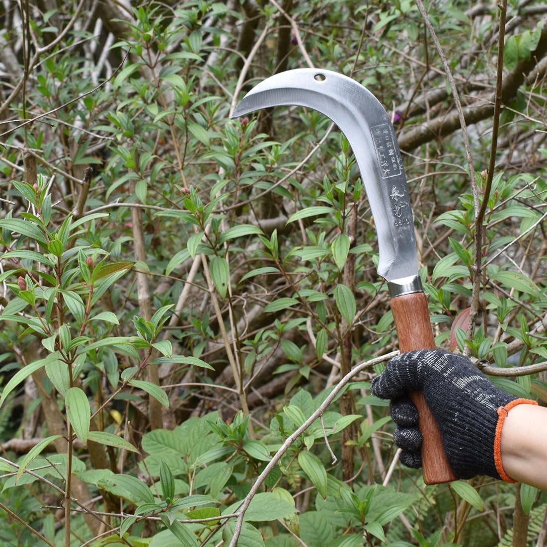 Cepillo gancho acero carbono herramienta deshierbe jardín