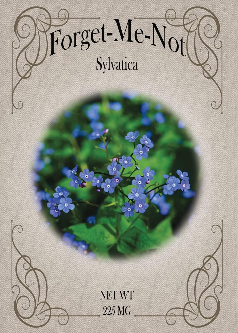 Juego semillas flores Forget Me Not 25