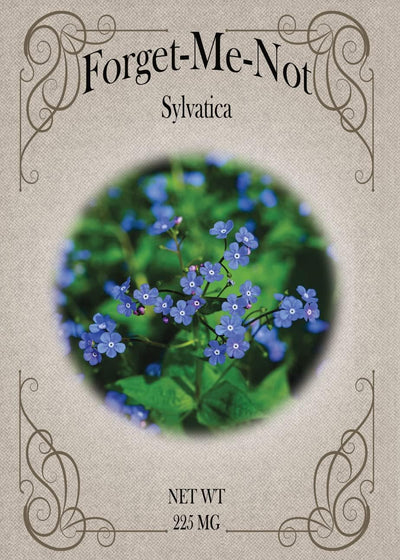 Juego semillas flores Forget Me Not 25
