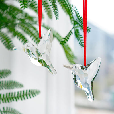 Juego 2 atrapasueños colibrí cristal arcoíris para ventana jardín