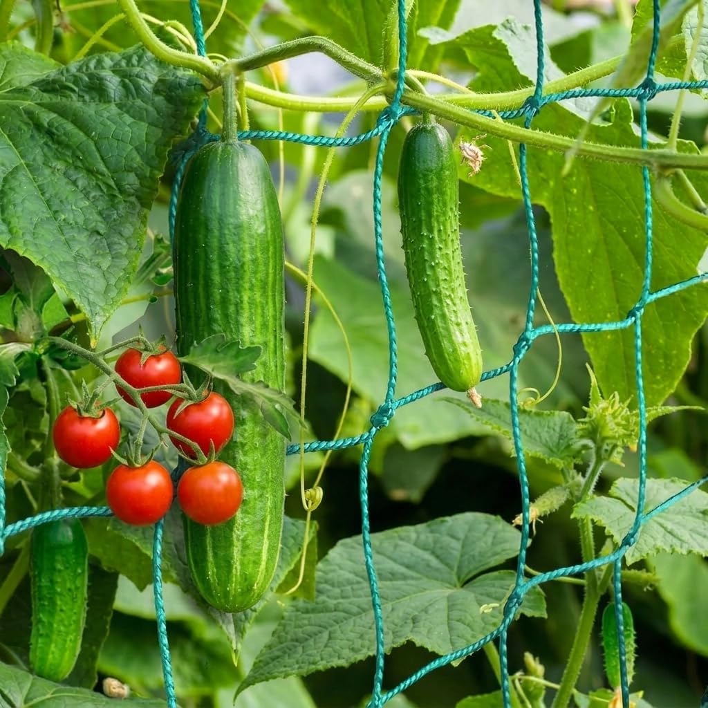 Red de cultivo jardín resistente para plantas trepadoras 32.8