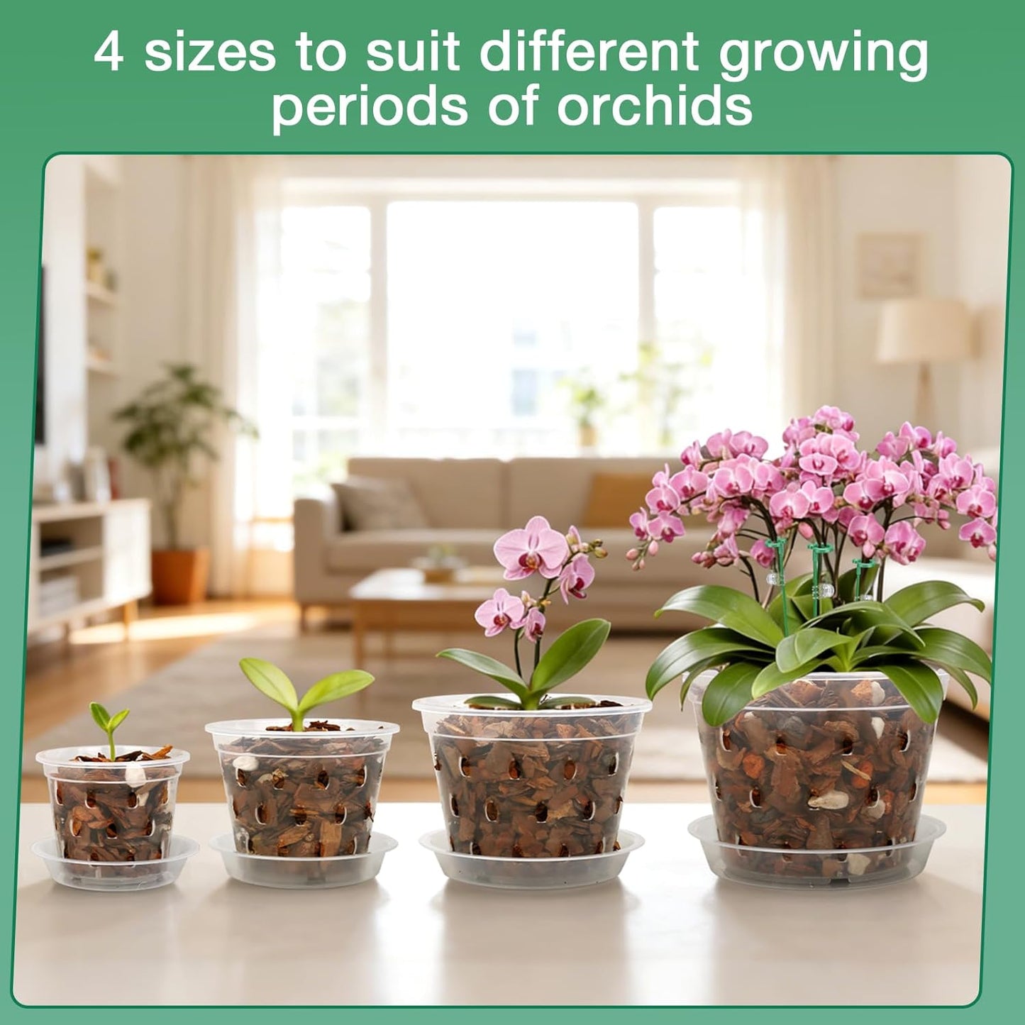 Maceta plástico orquídea 3-6pulg set 12 con platillo y estacas