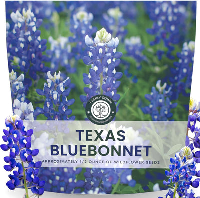 Semillas Texas Bluebonnet 0.5oz para plantar 2026
