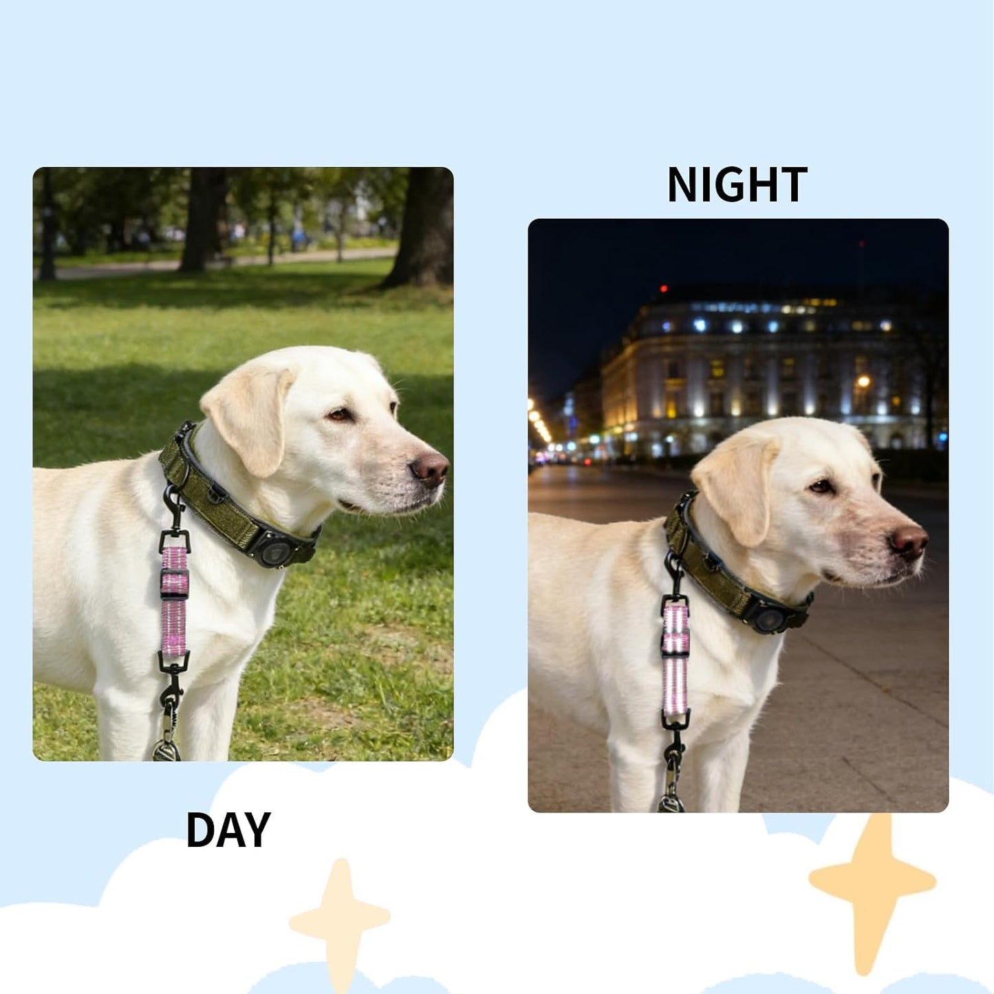 Clip seguridad collar perro doble extremo ajustable