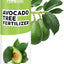 Fertilizante líquido para árbol de aguacate 8oz