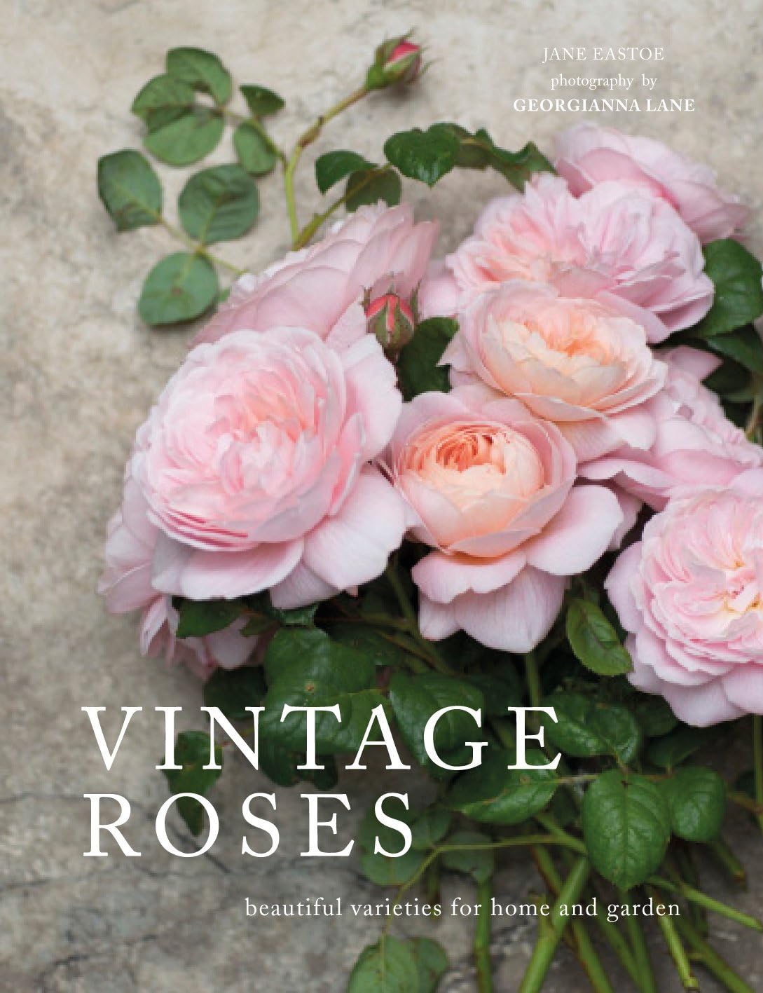 Rosas vintage para hogar y jardín
