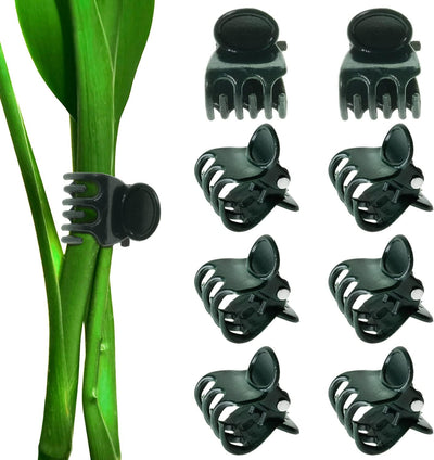 Clips para orquídeas y plantas 100 unidades