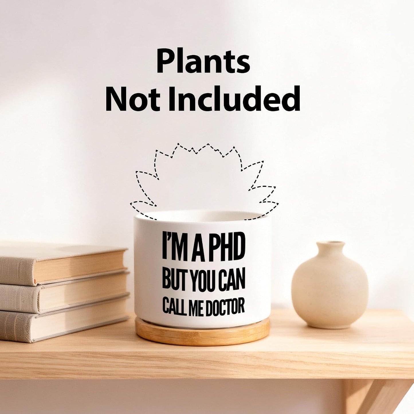 Maceta cerámica suculentas bandeja bambú decoración hogar oficina