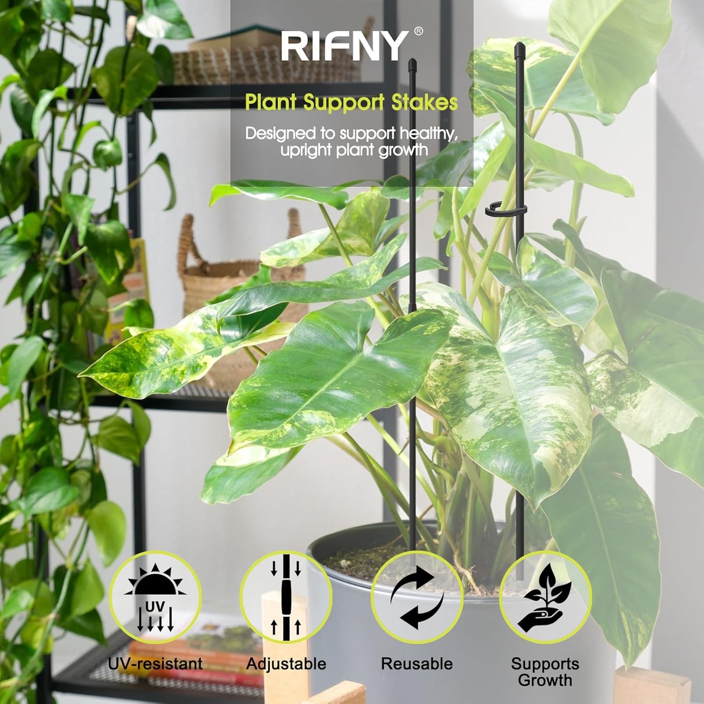 Estacas soporte plantas 14pulg ajustables Monstera Tomate orquídea