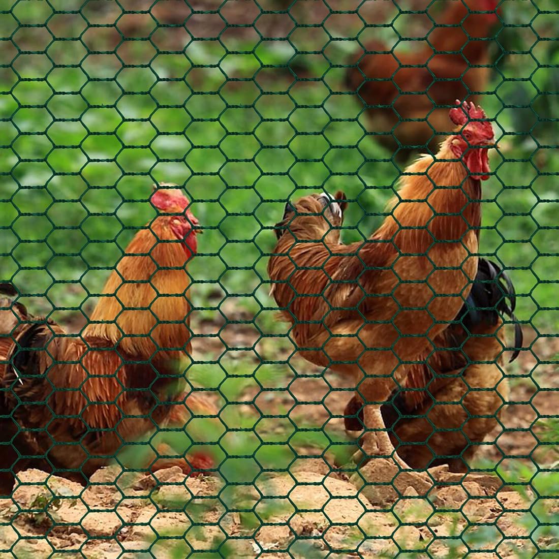 Alambre para aves rollo malla hexagonal PVC 9.8ft x 15.7pulg