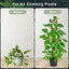 Poste musgo flexible para plantas trepadoras 35pulg