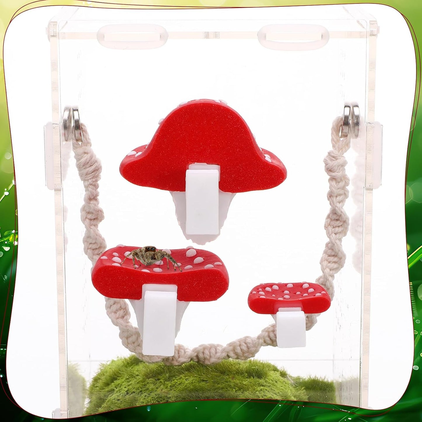 Kit 5 Pzas Araña Saltadora Magnéticas Cuerda Puente
