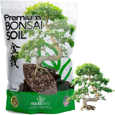 Kit suelo bonsai listo para usar con semillas de loto