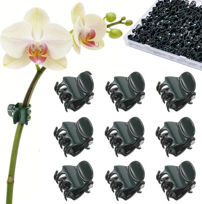 100 Clips Orquídeas Apertura 0.7pulg Soporte Plantas Verde Oscuro