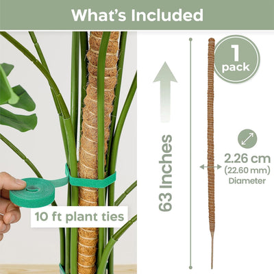 Soporte planta Monstera 63pulg enrejado alto para trepadoras