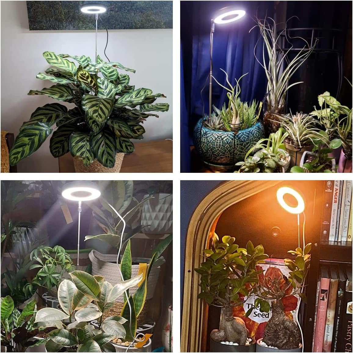 Luz crecimiento plantas 48 LEDs espectro completo ajustable 3/9/12