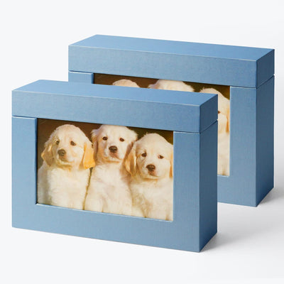 Cajas fotos 5x7 pulg set 2 cajas almacenamiento familia