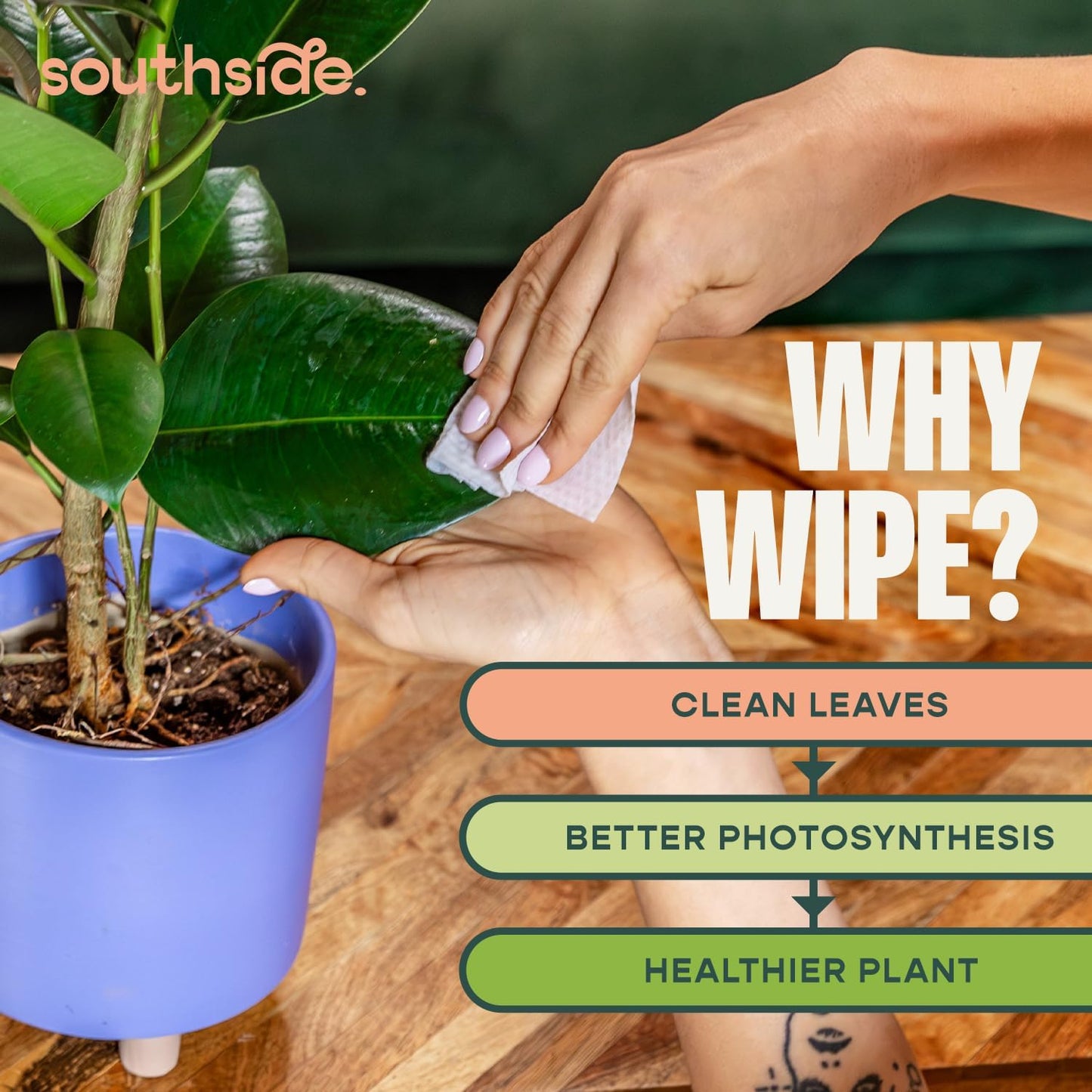 Toallitas limpieza plantas sin perfume 80uds