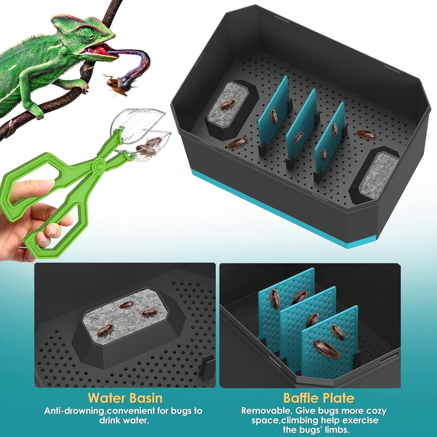 Kit contenedor cría reptiles Dubia con pinzas 9.25pulg