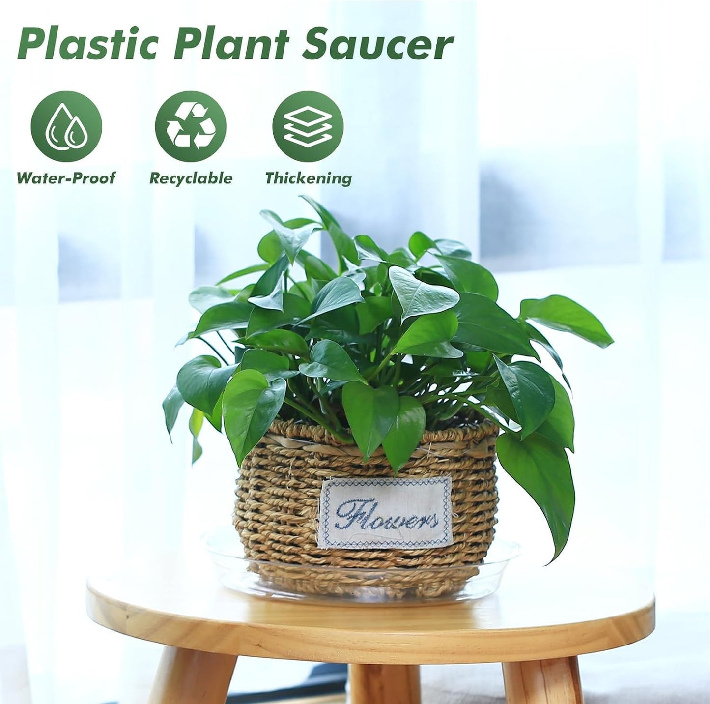 Set 21 bandejas plástico transparente para plantas 6-10pulg