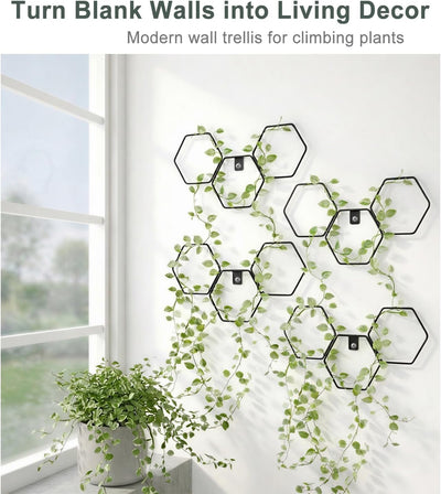 Enrejado pared metal soporte modular 6 pzas hexagonales