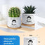 Macetas divertidas para suculentas y cactus
