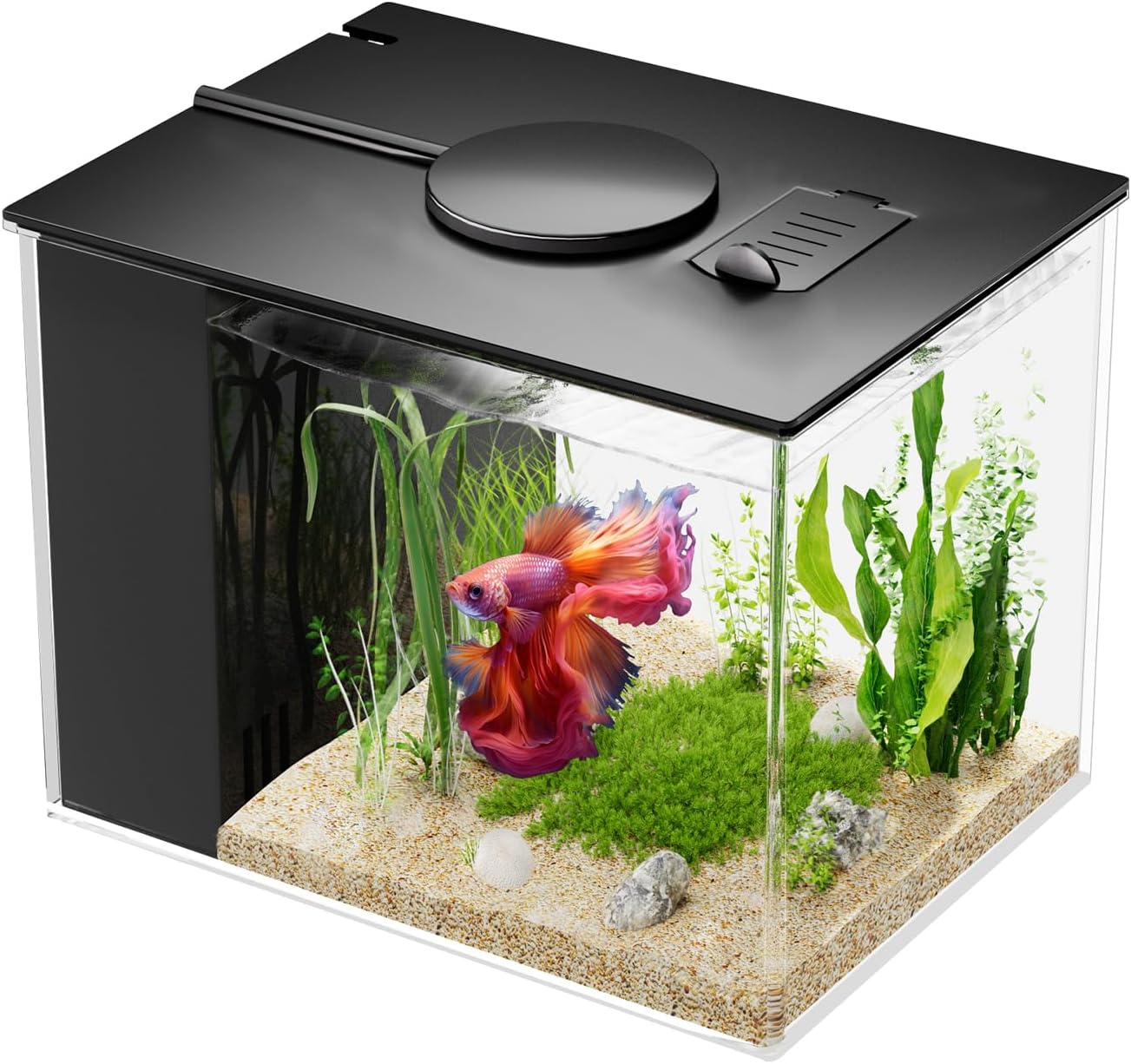 Acuario 1gal acrílico con bomba filtro luz LED color negro