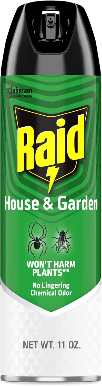Raid Asesino insectos casa jardín 11oz