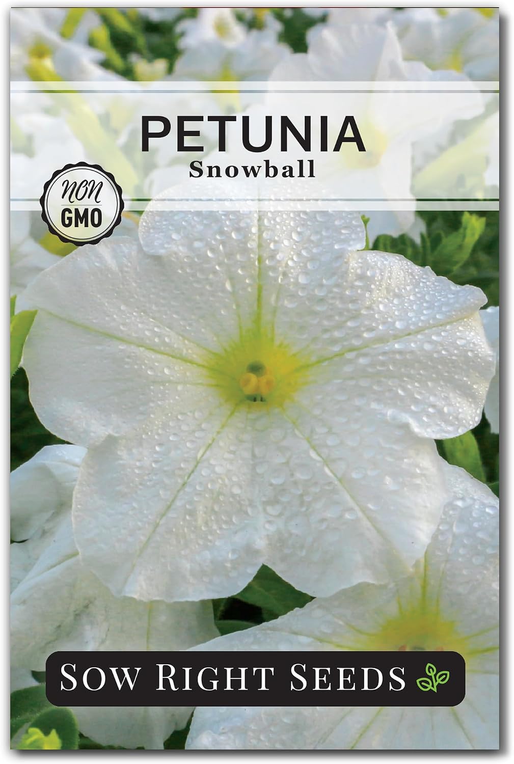 Semillas petunia Snowball blancas para jardín y contenedores