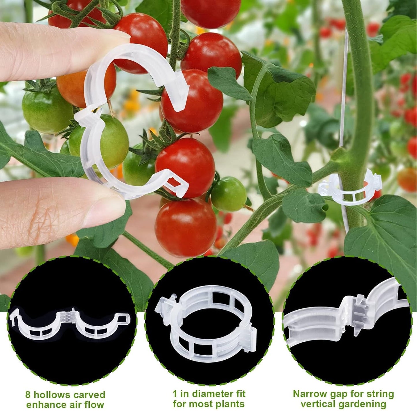 Ganchos tomate cuerda 10 pzas 20 clips 33.3ft