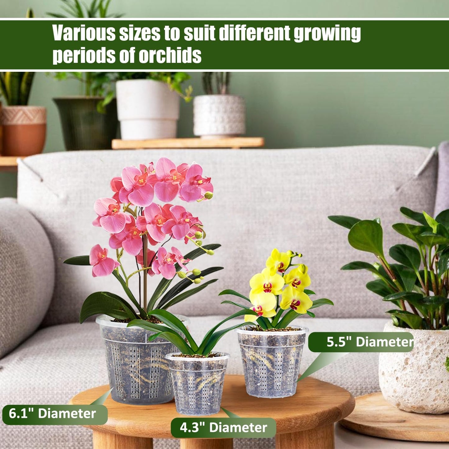 Maceta plástica orquídea 4.3-6.1pulg con agujeros