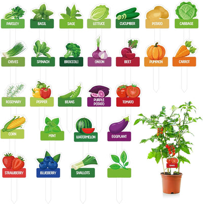 60 Etiquetas Jardín con Nombre 8 Marcadores Blancos Impermeables
