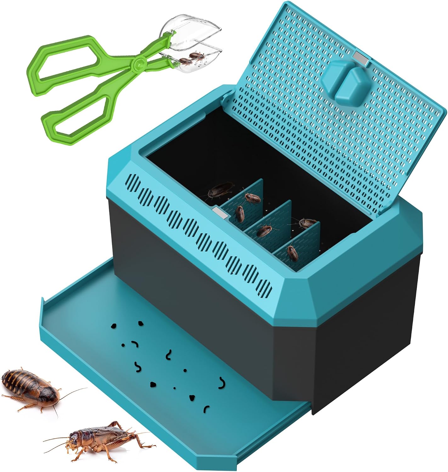 Kit contenedor cría reptiles Dubia con pinzas 9.25pulg