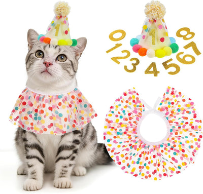 Juego disfraz sombrero bufanda cumpleaños gato