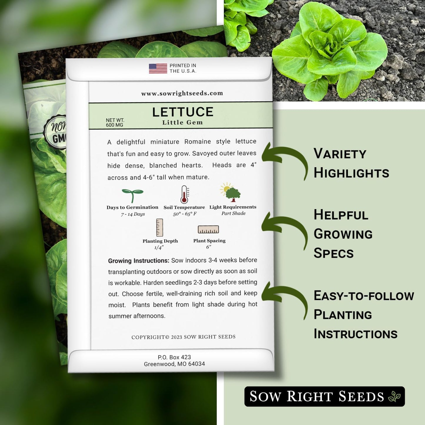 Semillas lechuga Little Gem para huerto hidroponía