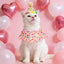 Juego disfraz sombrero bufanda cumpleaños gato