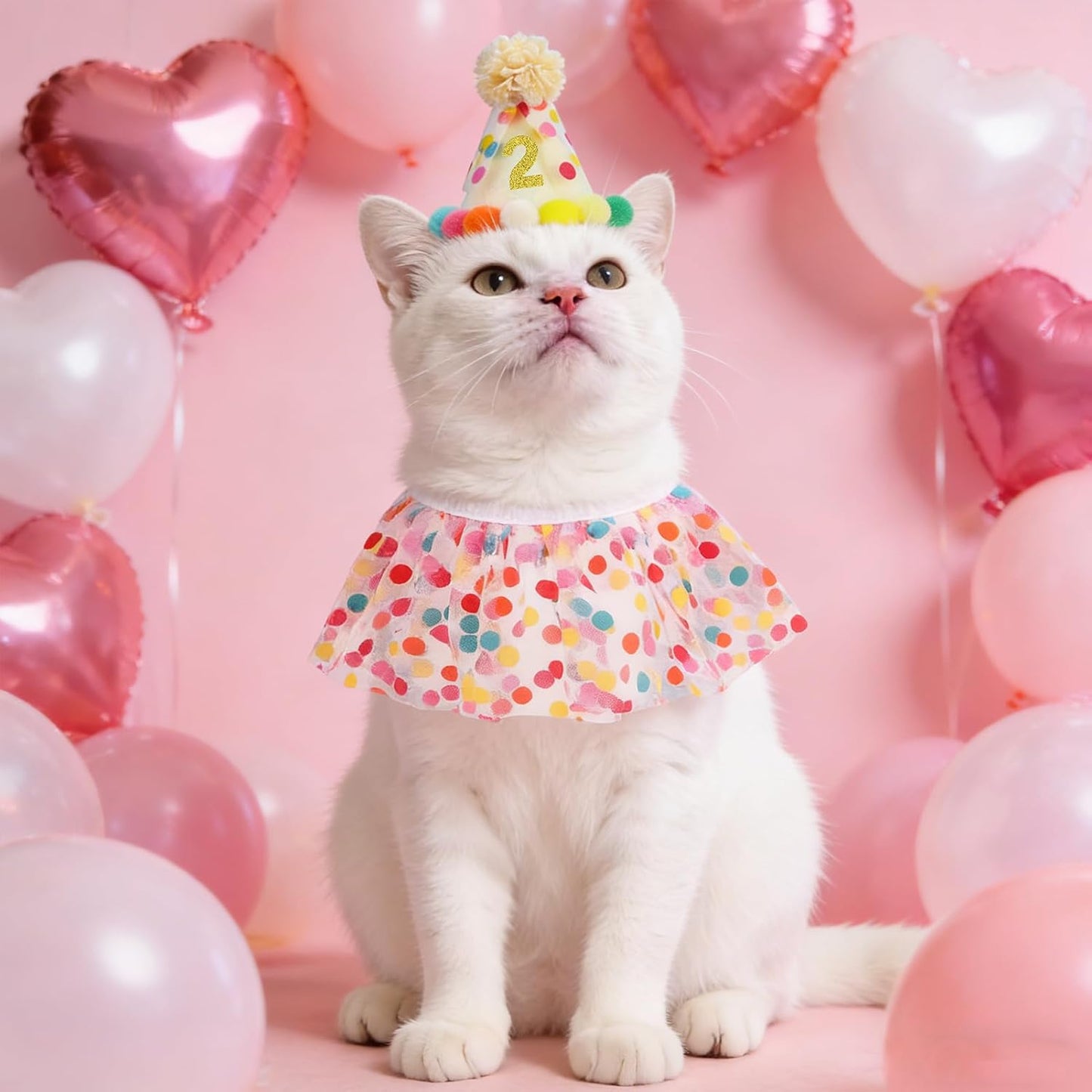 Juego disfraz sombrero bufanda cumpleaños gato