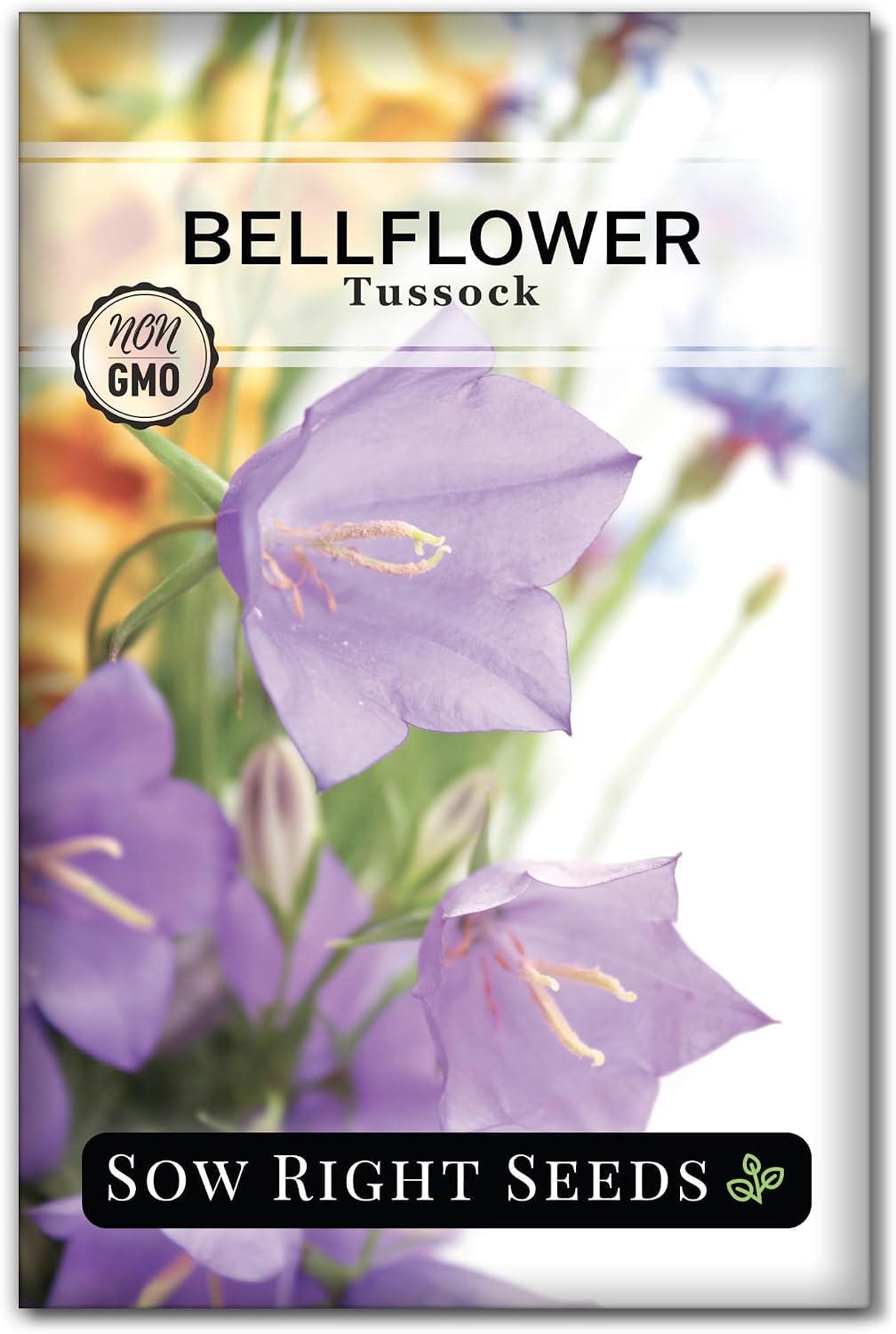 Semillas campanilla perenne paquete con instrucciones