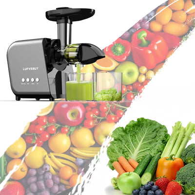 Extractor Jugos Exprimidor Frutas Verduras Motor 250W