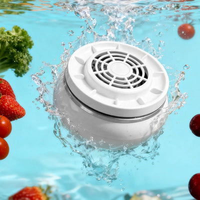 Máquina para lavar frutas y verduras con electroólisis de titanio