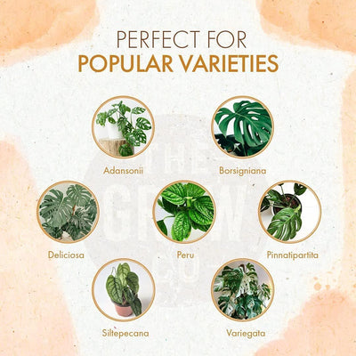 Fertilizante líquido orgánico para Monstera 8oz