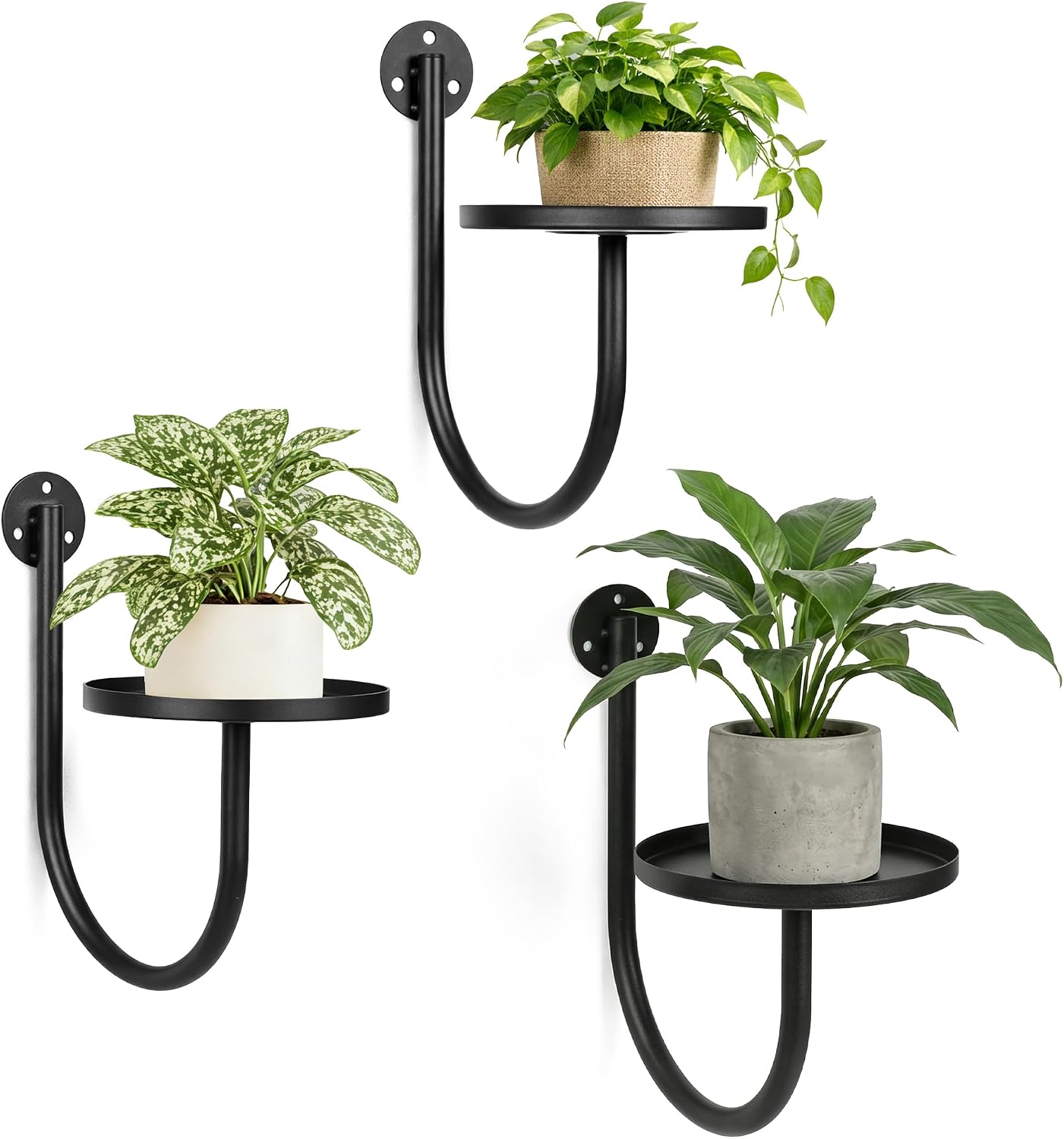 Soportes pared para plantas moderno 3 pzas colgador macetas