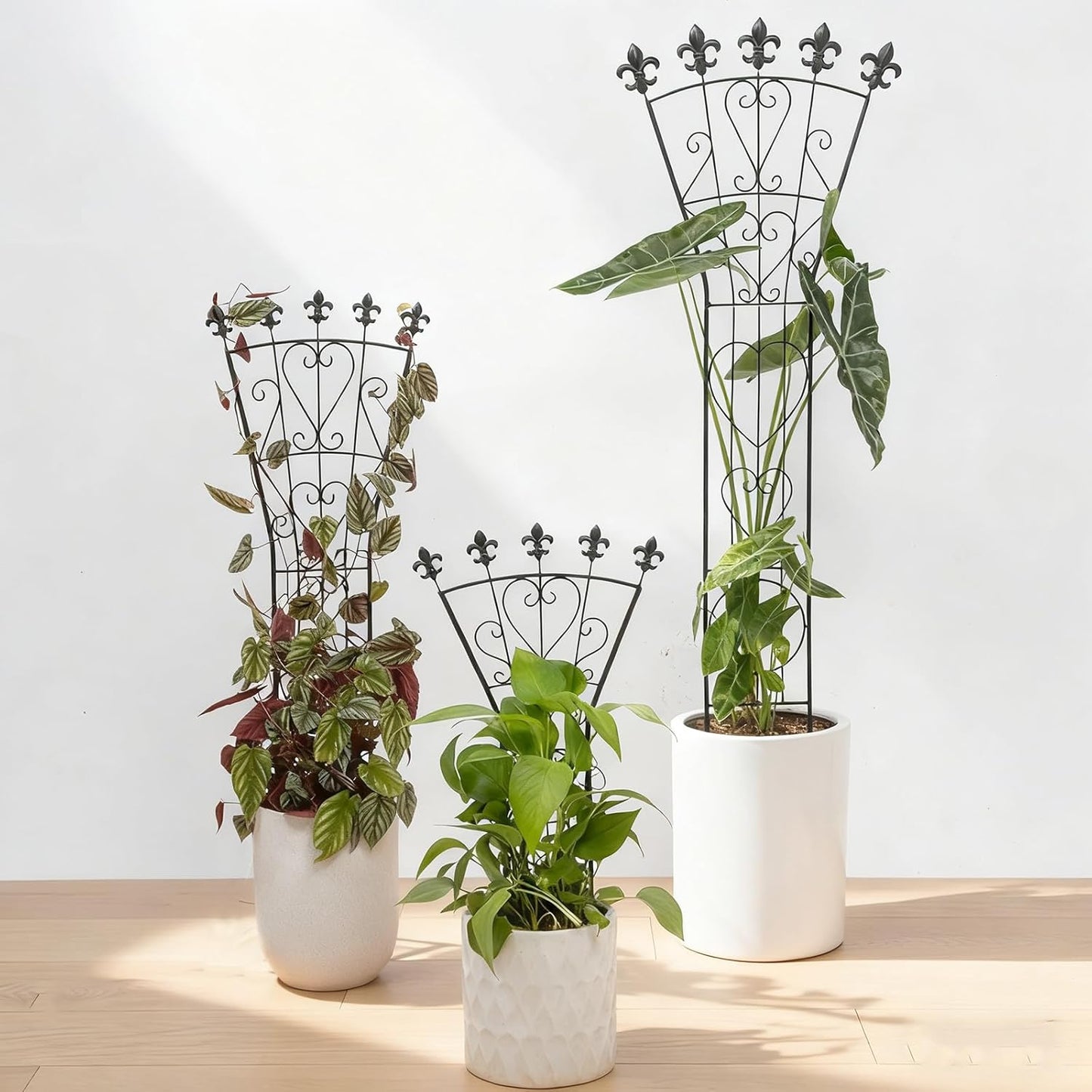 Enrejado metal para plantas 24x12pulg set 3