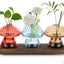 Soporte vidrio para hongos set 3 madera decoración