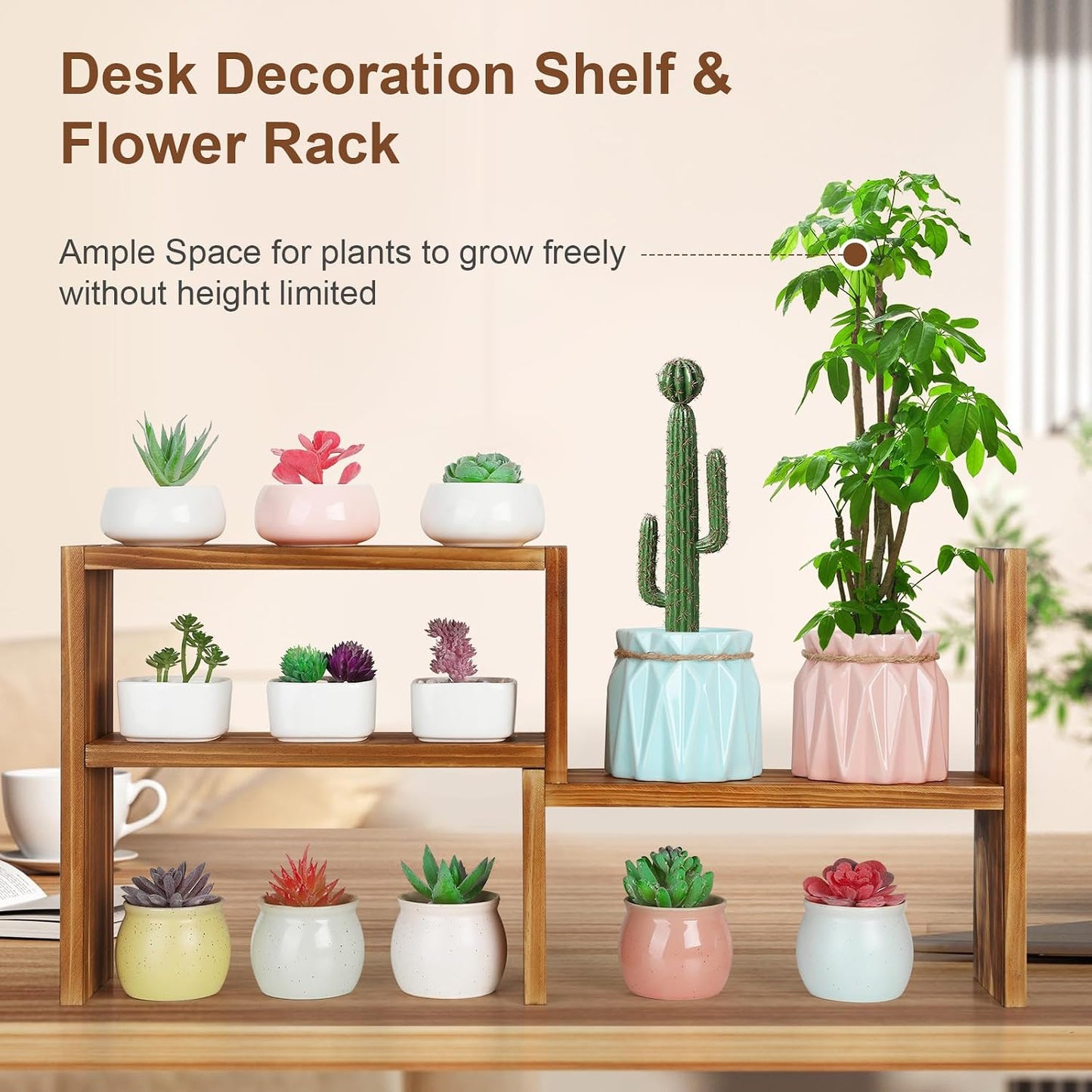Estante 5 niveles madera para plantas escritorio suculentas